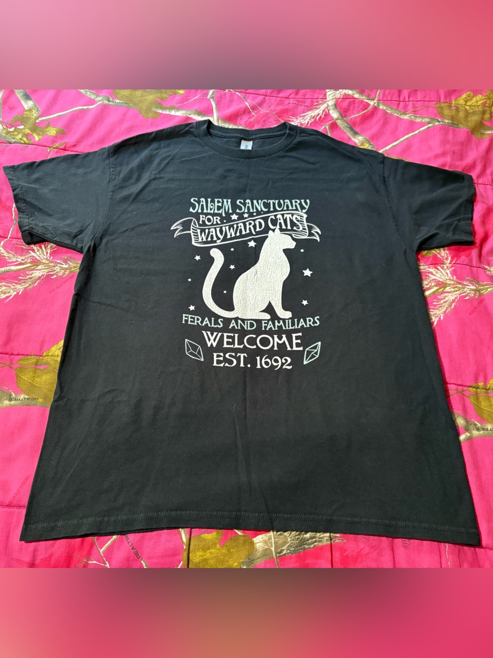 Gildan Heavy Cotton Salem Sanctuary For Wayward Cats T-Shirt